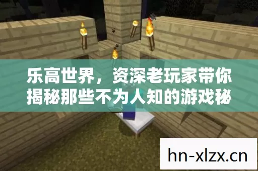 乐高世界,资深老玩家带你揭秘那些不为人知的游戏秘辛 乐高世界,资深老玩家带你揭秘那些不为人知的游戏秘辛
