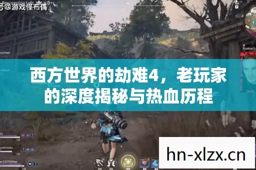 老玩家的深度揭秘与热血历程图片