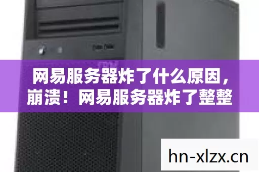 网易服务器炸了整整4小时图片