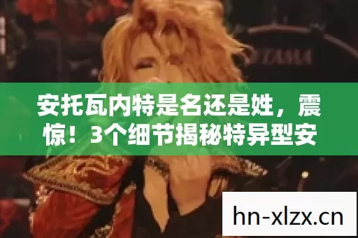 3个细节揭秘特异型安托瓦内特图片