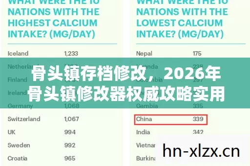 2026年骨头镇修改器权威攻略实用指南解决新手装备技能痛点方案图片