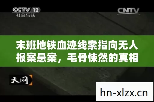 末班地铁血迹线索指向无人报案悬案,毛骨悚然的真相藏在你每一次选择里 末班地铁血迹线索指向无人报案悬案,毛骨悚然的真相藏在你每一次选择里