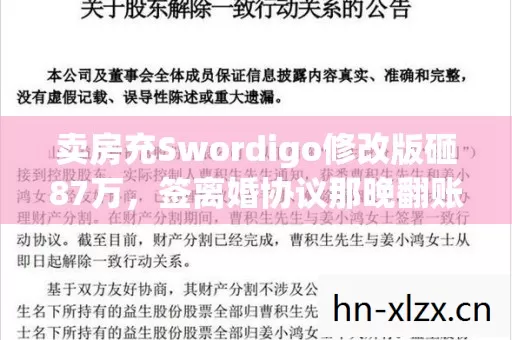 卖房充Swordigo修改版砸87万,签离婚协议那晚翻账本吓瘫 卖房充Swordigo修改版砸87万,签离婚协议那晚翻账本吓瘫
