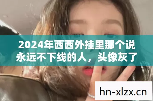 2024年西西外挂里那个说永远不下线的人,头像灰了整整十年我鼻子一酸 2024年西西外挂里那个说永远不下线的人,头像灰了整整十年我鼻子一酸