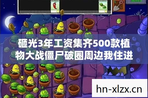 砸光3年工资集齐500款植物大战僵尸破圈周边我住进了棺材板手办坟场