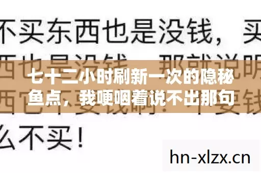七十二小时刷新一次的隐秘鱼点，我哽咽着说不出那句好久不见