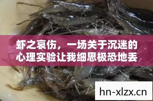虾之哀伤，一场关于沉迷的心理实验让我细思极恐地丢失了三年人生
