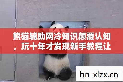 熊猫辅助网冷知识颠覆认知,玩十年才发现新手教程让我目瞪口呆 熊猫辅助网冷知识颠覆认知,玩十年才发现新手教程让我目瞪口呆