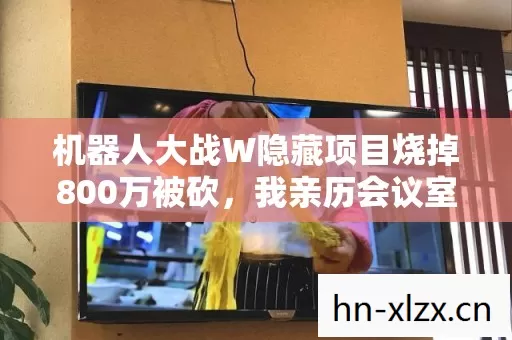 机器人大战W隐藏项目烧掉800万被砍，我亲历会议室拍桌争吵内幕吓懵