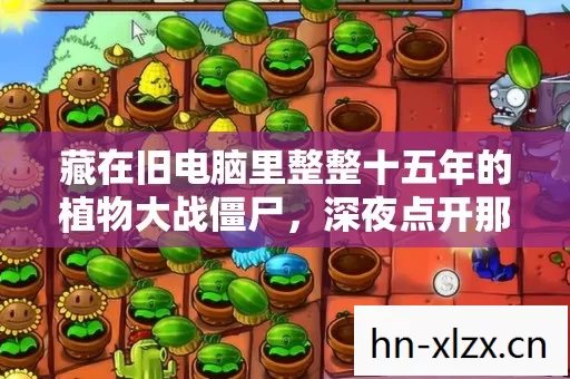 藏在旧电脑里整整十五年的植物大战僵尸,深夜点开那一刻我哽咽了 藏在旧电脑里整整十五年的植物大战僵尸,深夜点开那一刻我哽咽了