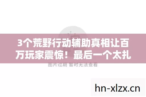 3个荒野行动辅助真相让百万玩家震惊!最后一个太扎心了 3个荒野行动辅助真相让百万玩家震惊!最后一个太扎心了