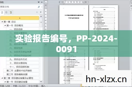 实验报告编号,PP-2024-0091 实验报告编号,PP-2024-0091
