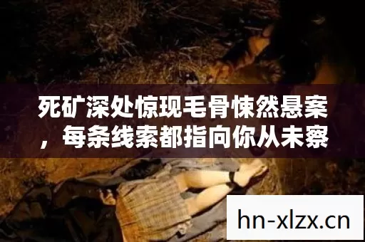 每条线索都指向你从未察觉的连环真相图片