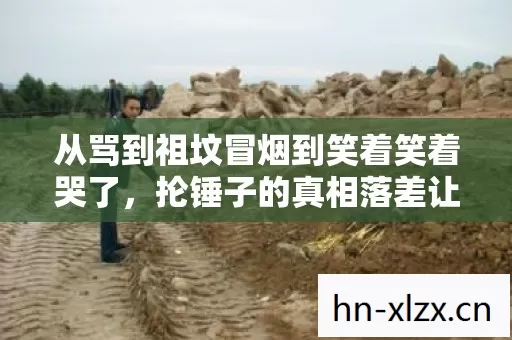 抡锤子的真相落差让退坑党集体沉默图片