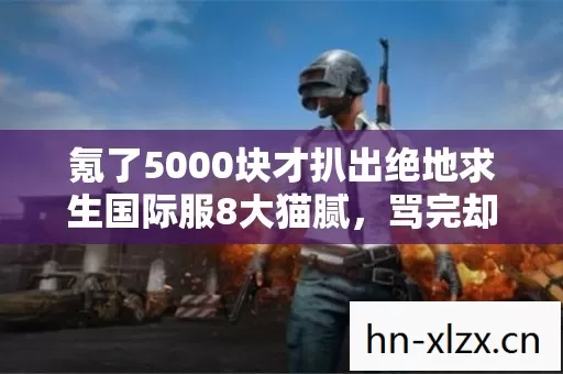 氪了5000块才扒出绝地求生国际服8大猫腻，骂完却上头到失眠