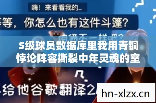 S级球员数据库里我用青铜悖论阵容撕裂中年灵魂的窒息震颤 S级球员数据库里我用青铜悖论阵容撕裂中年灵魂的窒息震颤