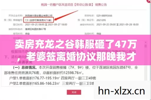 卖房充龙之谷韩服砸了47万，老婆签离婚协议那晚我才发现账单藏着惊天秘密