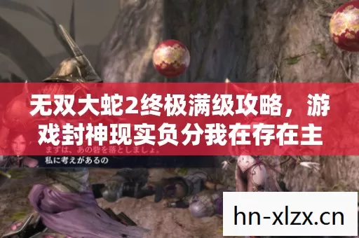 无双大蛇2终极满级攻略，游戏封神现实负分我在存在主义深渊里窒息