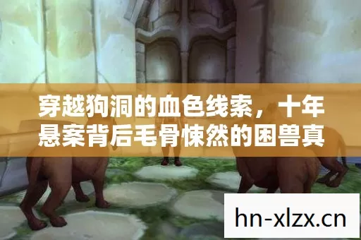 穿越狗洞的血色线索，十年悬案背后毛骨悚然的困兽真相