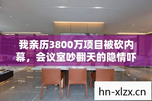 我亲历3800万项目被砍内幕,会议室吵翻天的隐情吓懵整个行业 我亲历3800万项目被砍内幕,会议室吵翻天的隐情吓懵整个行业