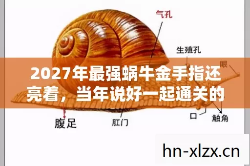 2027年最强蜗牛金手指还亮着,当年说好一起通关的人却让我鼻子一酸 2027年最强蜗牛金手指还亮着,当年说好一起通关的人却让我鼻子一酸