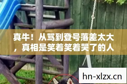 真牛!从骂到登号落差太大,真相是笑着笑着哭了的人都没退坑 真牛!从骂到登号落差太大,真相是笑着笑着哭了的人都没退坑