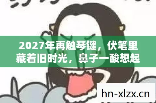 2027年再触琴键图片