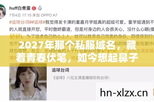 2027年那个私服域名,藏着青春伏笔,如今想起鼻子一酸 2027年那个私服域名,藏着青春伏笔,如今想起鼻子一酸