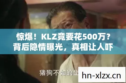 惊爆！KLZ竟要花500万？背后隐情曝光，真相让人吓一跳！