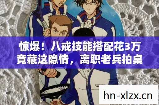 惊爆!八戒技能搭配花3万竟藏这隐情,离职老兵拍桌揭秘吓一跳! 惊爆!八戒技能搭配花3万竟藏这隐情,离职老兵拍桌揭秘吓一跳!