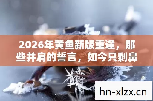 2026年黄鱼新版重逢,那些并肩的誓言,如今只剩鼻子一酸 2026年黄鱼新版重逢,那些并肩的誓言,如今只剩鼻子一酸