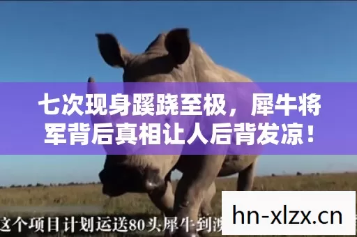 七次现身蹊跷至极,犀牛将军背后真相让人后背发凉! 七次现身蹊跷至极,犀牛将军背后真相让人后背发凉!