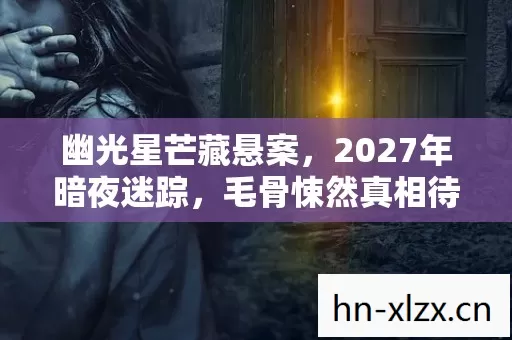 幽光星芒藏悬案，2027年暗夜迷踪，毛骨悚然真相待揭