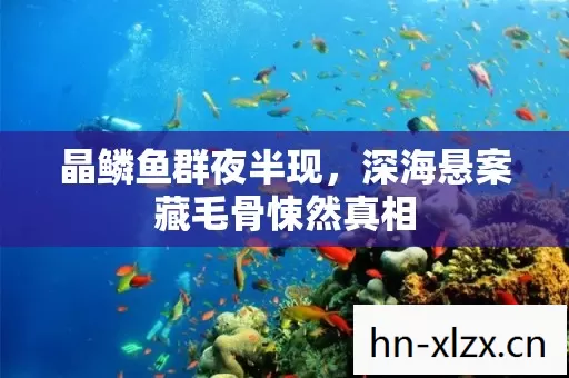 晶鳞鱼群夜半现,深海悬案藏毛骨悚然真相 晶鳞鱼群夜半现,深海悬案藏毛骨悚然真相