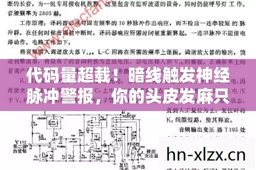代码量超载!暗线触发神经脉冲警报,你的头皮发麻只是开始 代码量超载!暗线触发神经脉冲警报,你的头皮发麻只是开始
