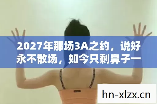 2027年那场3A之约,说好永不散场,如今只剩鼻子一酸的对话框 2027年那场3A之约,说好永不散场,如今只剩鼻子一酸的对话框