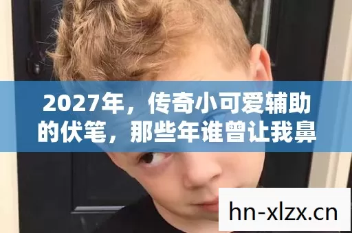 2027年,传奇小可爱辅助的伏笔,那些年谁曾让我鼻子一酸? 2027年,传奇小可爱辅助的伏笔,那些年谁曾让我鼻子一酸?