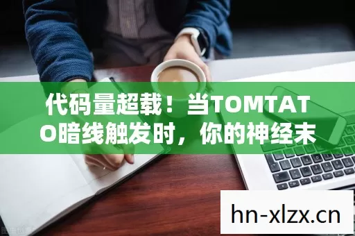 代码量超载!当TOMTATO暗线触发时,你的神经末梢正在头皮发麻 代码量超载!当TOMTATO暗线触发时,你的神经末梢正在头皮发麻