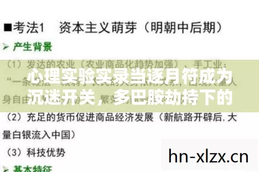 心理实验实录当逐月符成为沉迷开关,多巴胺劫持下的细思极恐循环 心理实验实录当逐月符成为沉迷开关,多巴胺劫持下的细思极恐循环