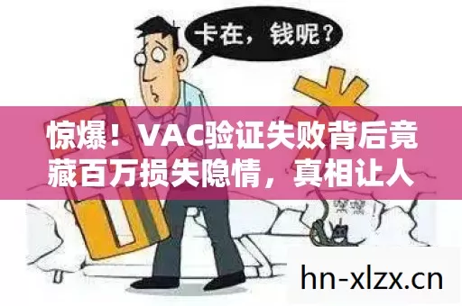 VAC验证失败背后竟藏百万损失隐情图片