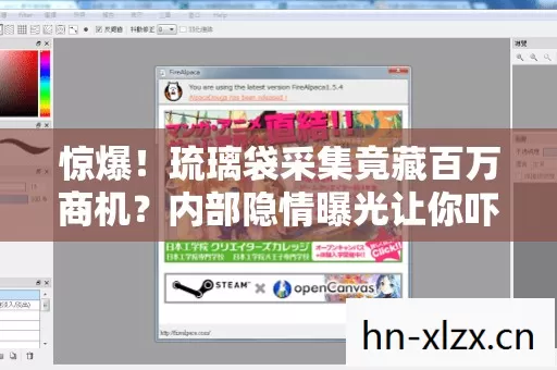 惊爆!琉璃袋采集竟藏百万商机?内部隐情曝光让你吓一跳! 惊爆!琉璃袋采集竟藏百万商机?内部隐情曝光让你吓一跳!