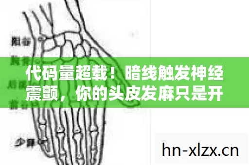 代码量超载!暗线触发神经震颤,你的头皮发麻只是开始 代码量超载!暗线触发神经震颤,你的头皮发麻只是开始