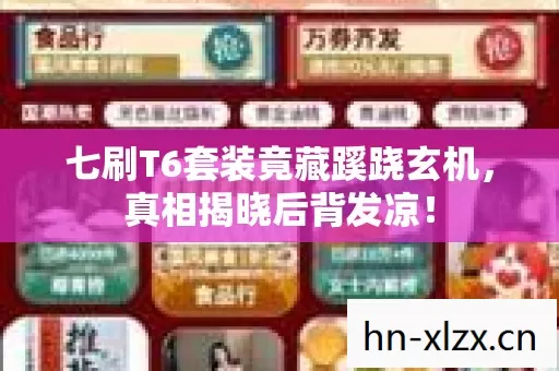 七刷T6套装竟藏蹊跷玄机,真相揭晓后背发凉! 七刷T6套装竟藏蹊跷玄机,真相揭晓后背发凉!