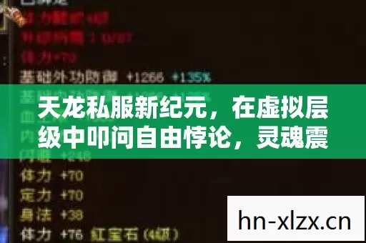 天龙私服新纪元,在虚拟层级中叩问自由悖论,灵魂震颤的永恒轮回 天龙私服新纪元,在虚拟层级中叩问自由悖论,灵魂震颤的永恒轮回