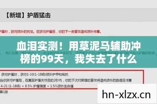 血泪实测！用草泥马辅助冲榜的99天，我失去了什么？