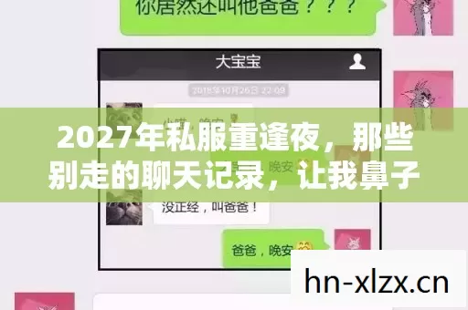 2027年私服重逢夜,那些别走的聊天记录,让我鼻子一酸 2027年私服重逢夜,那些别走的聊天记录,让我鼻子一酸