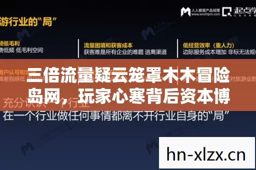 三倍流量疑云笼罩木木冒险岛网,玩家心寒背后资本博弈几何? 三倍流量疑云笼罩木木冒险岛网,玩家心寒背后资本博弈几何?