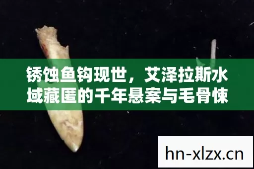 锈蚀鱼钩现世,艾泽拉斯水域藏匿的千年悬案与毛骨悚然真相 锈蚀鱼钩现世,艾泽拉斯水域藏匿的千年悬案与毛骨悚然真相
