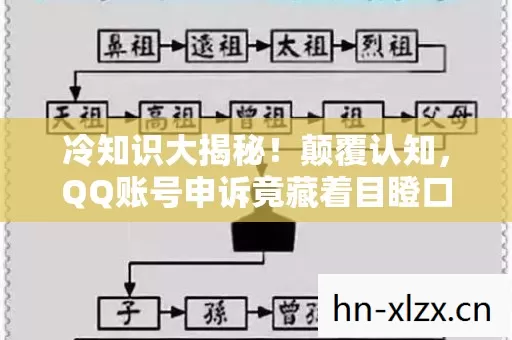 冷知识大揭秘！颠覆认知，QQ账号申诉竟藏着目瞪口呆的炸弹密码