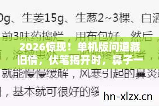 2026惊现!单机版问道藏旧情,伏笔揭开时,鼻子一酸忆往昔 2026惊现!单机版问道藏旧情,伏笔揭开时,鼻子一酸忆往昔